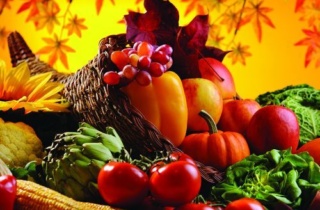 Fall Cornucopia Image Only Web 500X500