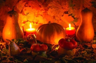 Fall Gourds Image Only Web 500X334