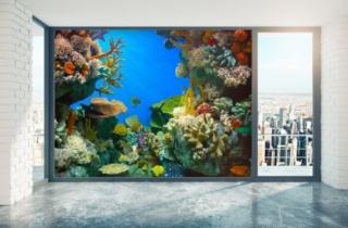 Sx Im702 Coral Community Visualizer 500X333