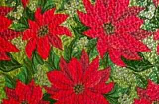 Sx Sc219 Poinsettias Close Up2 Web 500X368