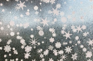 Sx Sc220 White Snowflakes Close Up2 Web 500X374